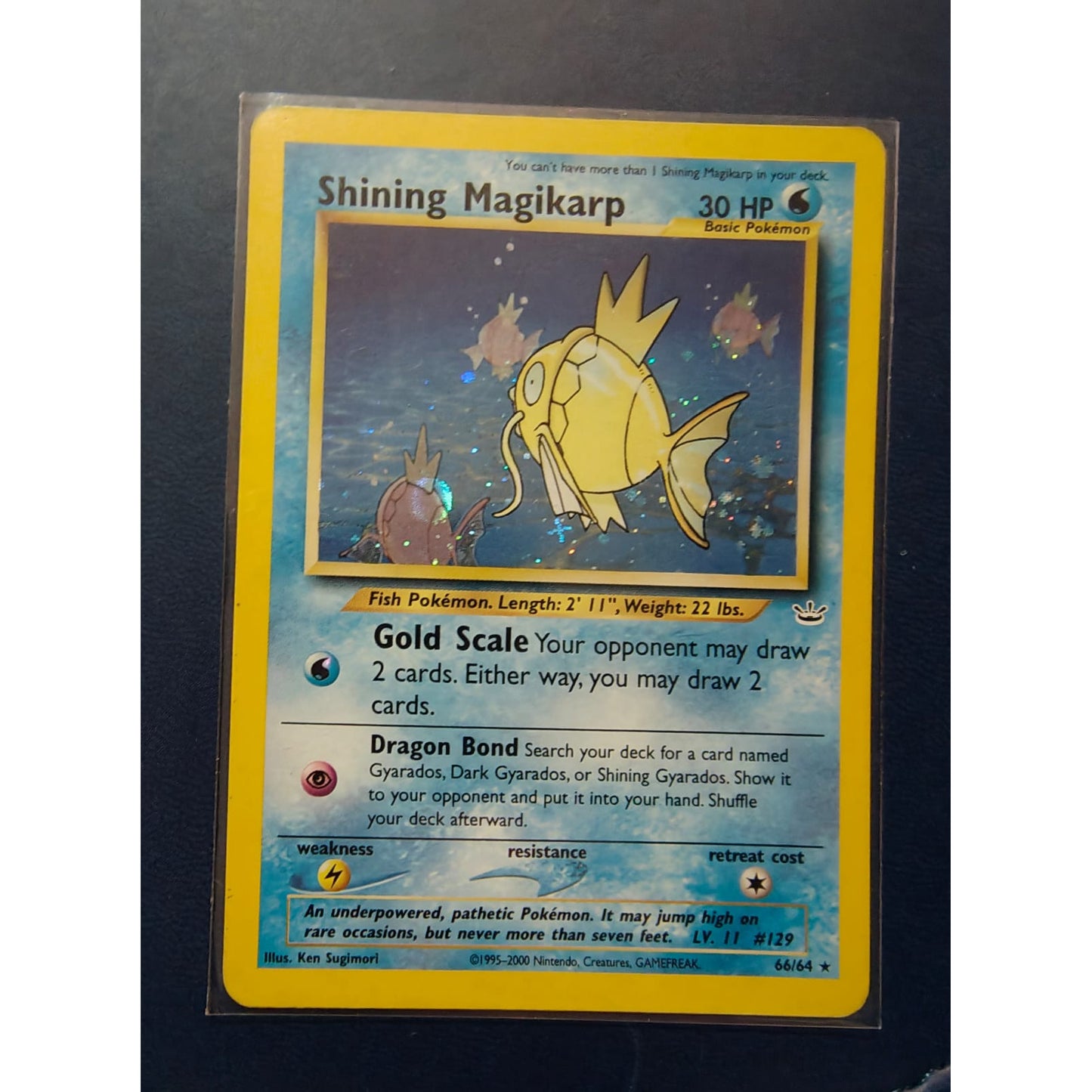 Magikarp Luminescente (66/64) [SP]