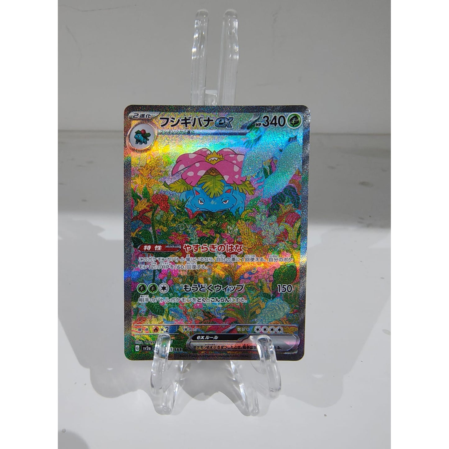Venusaur ex (200JP/165) [NM]